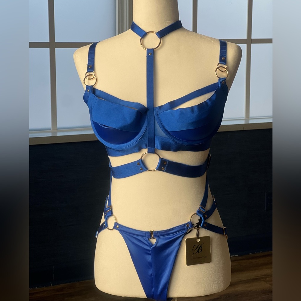 Honey Birdette Royal Blue Harness Bra Set Medium 34E NWT